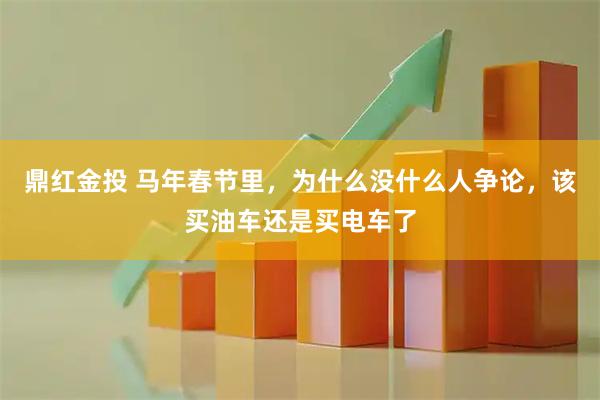 鼎红金投 马年春节里，为什么没什么人争论，该买油车还是买电车了