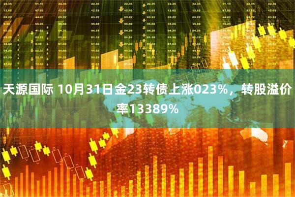 天源国际 10月31日金23转债上涨023%,转股溢价率13389%