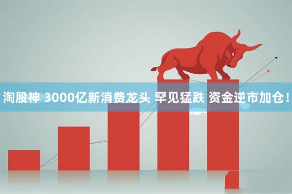 淘股神 3000亿新消费龙头 罕见猛跌 资金逆市加仓！